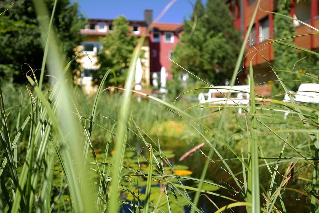 Wagners Hotel Schonblick, C&C Hotels Und Vertrieb Gmbh Fichtelberg Exteriör bild